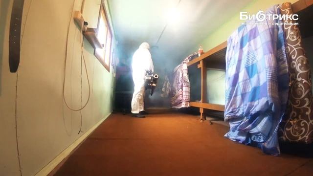 Фумигация строительных бытовок от клопов за 10 минут смотреть онлайн