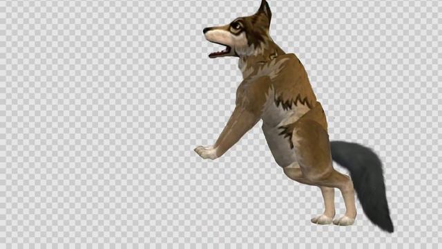 анимка волка /^ смотреть онлайн