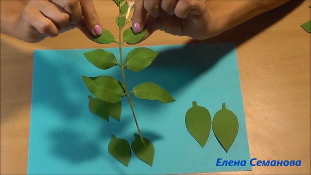 Каприфоль из фоамирана. Мастер-класс Елены Семановой смотреть онлайн