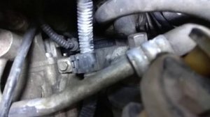 Расположения номера двигателя 4D20 и номера рамы Hover.