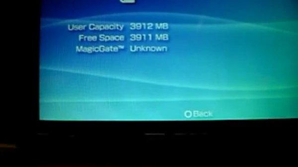 Fake 4GB Sony Memory Stick Pro Duo from Ebay