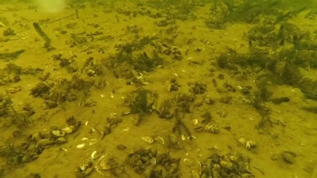 Тест xiaomi yi зимой, подлёдная рыбалка смотреть онлайн