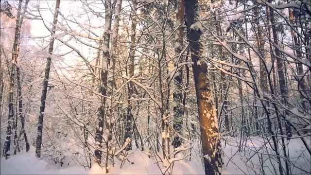 Fairy ☀ Winter ❄ Forest ??? Сказочный зимний лес ❄❄❄ (Москва) смотреть онлайн