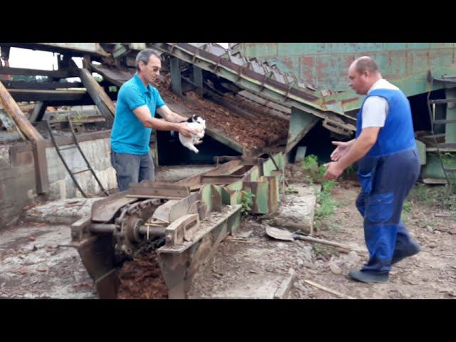 Щенячьи спасатели... смотреть онлайн