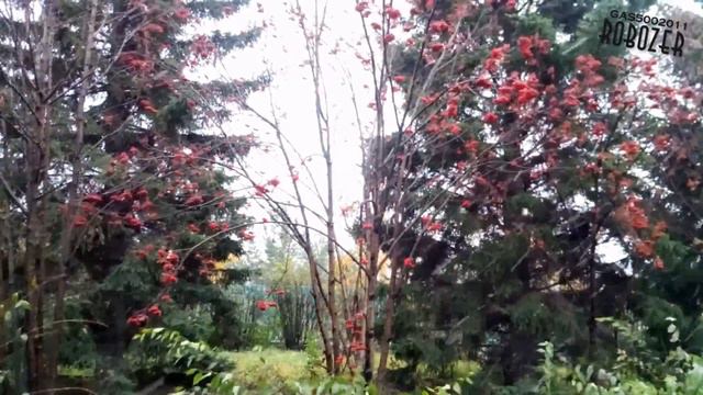 Природа снег релакс 2017 смотреть онлайн