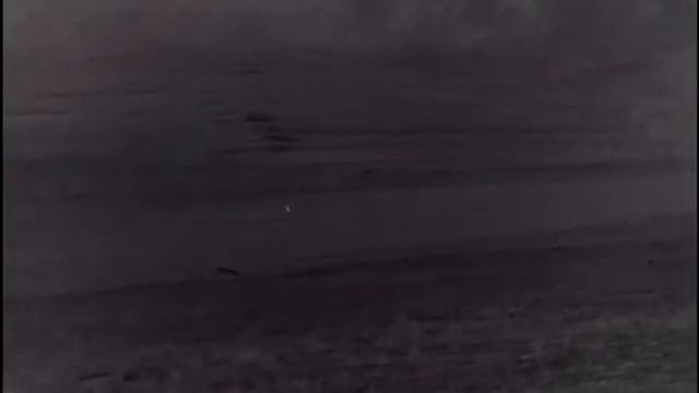 Охота на волка. Белый волк? смотреть онлайн