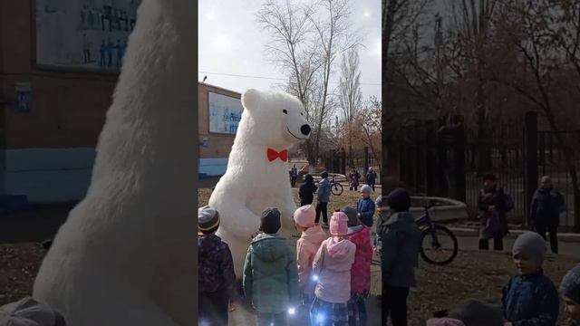 Поздравление от белого мишки в Оренбурге. 05.04.2023 смотреть онлайн