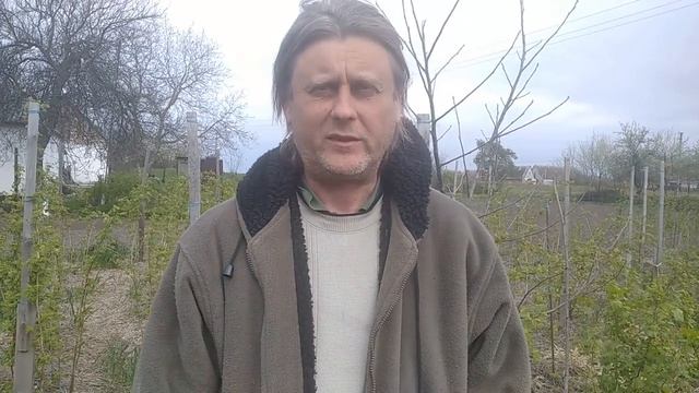 Как избавиться от личинок хруща / майского жука в почве? Наш опыт и наши рекомендации