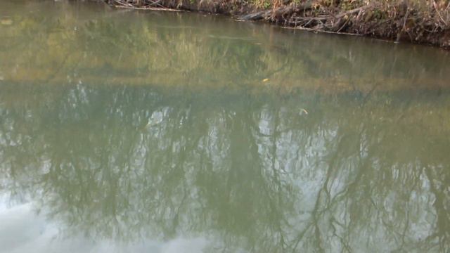 Сплав по р.Яя. Надежда умирает последней... смотреть онлайн