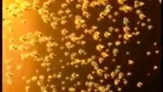 Staropramen Potrefena Husa смотреть онлайн