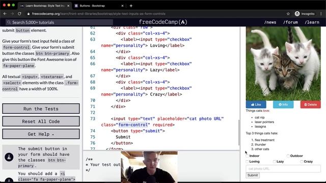 Style Text Inputs as Form Controls - Bootstrap - Free Code Camp смотреть онлайн