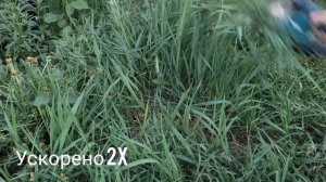 СТОИТ ЛИ БРАТЬ MAKITA DUM-604 ? ОБЗОР/ТЕСТ! #инструменты #makita #обзор #тест