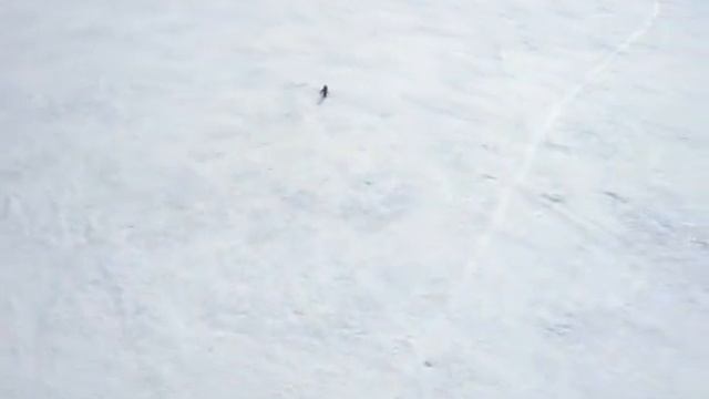 MVI 0050 смотреть онлайн