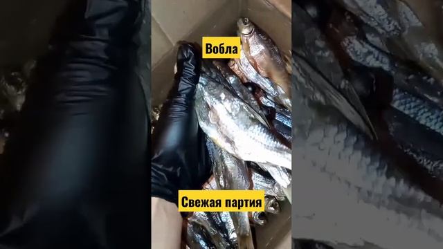 Свежая партия Воблы. Подробности в комментариях? #shorts #вобла #икра #тарань #лещ смотреть онлайн