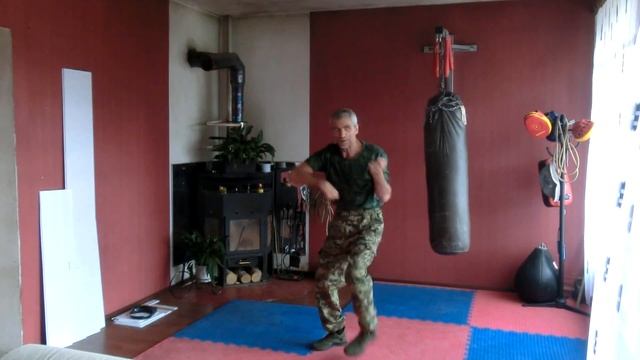 Universal combat system техника 7 смотреть онлайн