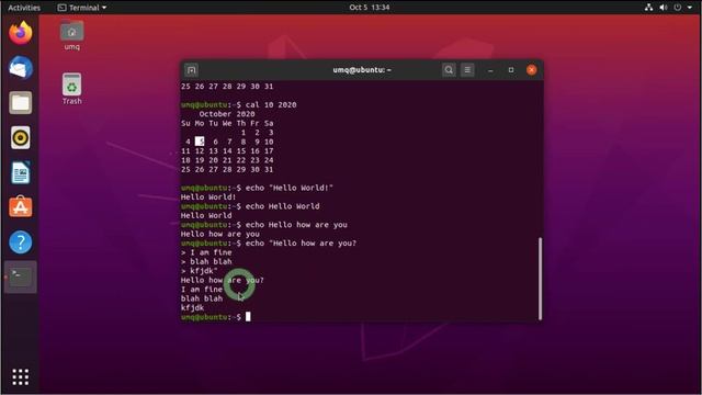 Linux Basic Commands for Beginners with explanation - cal, echo, printf, who, whoami, tty смотреть онлайн