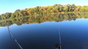 Осенняя Рыбалка на Дону.