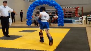 Кикбоксинг кик-лайт