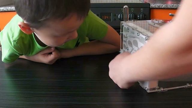 МУРАВЬИНАЯ ФЕРМА обзор ФОРМИКАРИЙ МУРАВЬИ ЖНЕЦЫ смотреть онлайн