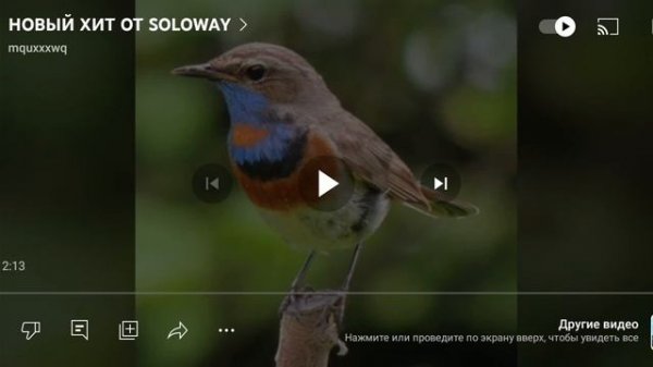 СРАВНЕНИЕ ДВУХ ЛЕГЕНД! soloway vs vorobay!???