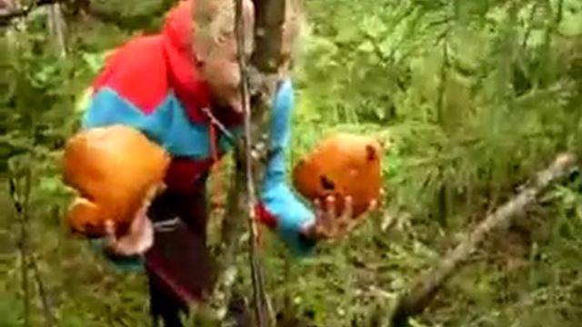 по грибы 2009 смотреть онлайн