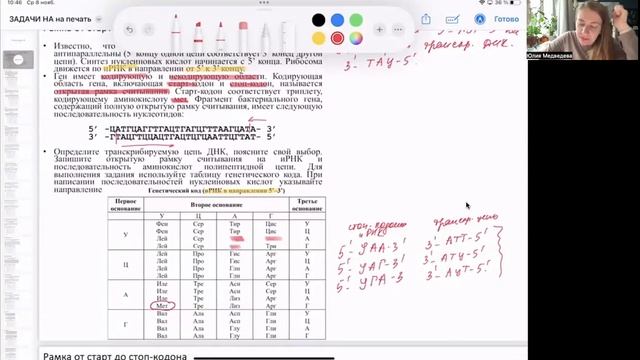 Рамка от старт до стоп-кодона смотреть онлайн