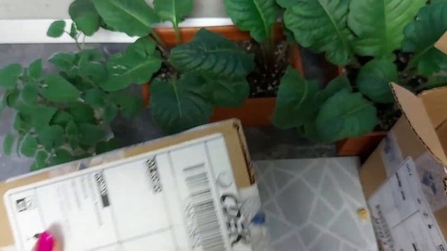 Обзор посылки с интернет-магазина seedspost.ru смотреть онлайн