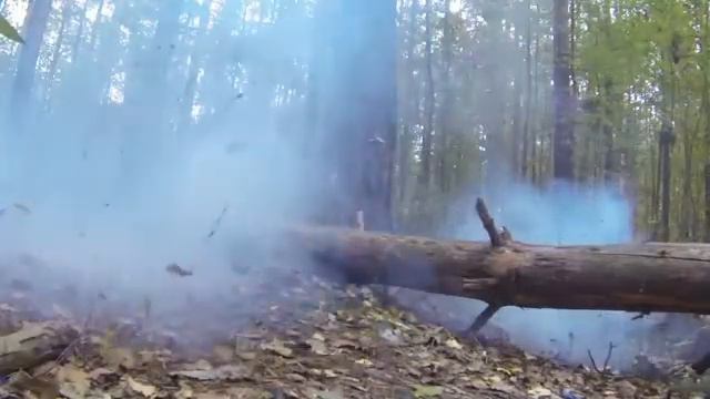 Курица против корсара 10 смотреть онлайн