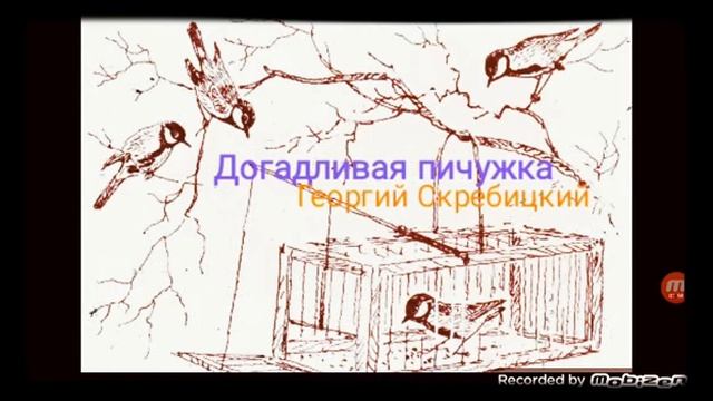 ДОГАДЛИВАЯ ПИЧУЖКА ? рассказ ? аудио ? автор Георгий Скребицкий ? смотреть онлайн