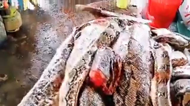 Что едат Китай Ухань рынок смотреть онлайн