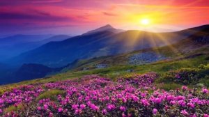 8 часов музыки для спокойного сна • Расслабляющая музыка для фортепиано, музыка для глубокого сна,