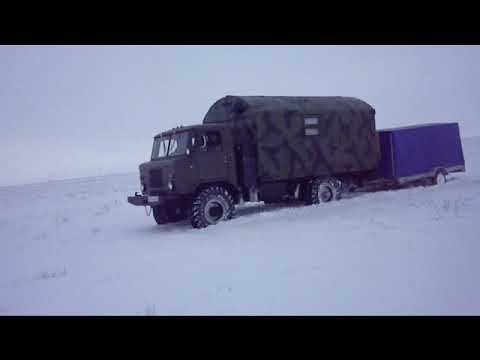 охота на волков в Казахстане 2012