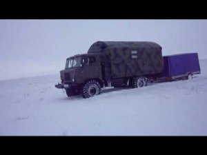 охота на волков в Казахстане 2012