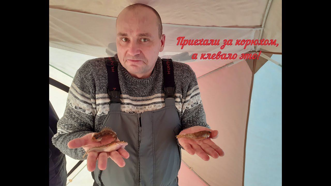 Сухое море! От них не скрыться!!! смотреть онлайн