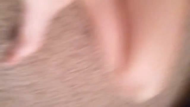 Как моя собака реагирует на звуки животных смотреть онлайн