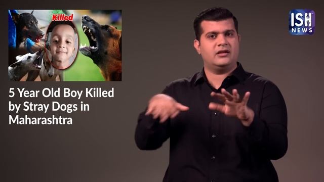 5 Year Old Boy Killed by Stray Dogs in Maharashtra | ISH News смотреть онлайн