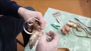 Мастер-класс по плетению лаптя из бересты