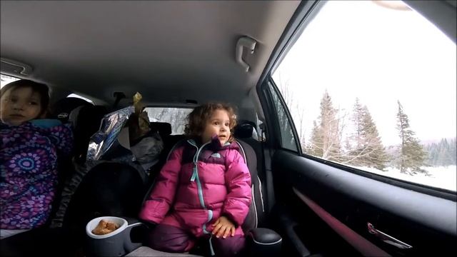 Здоровый олень аккуратненько так кушает морковочку с ручки девчульки смотреть онлайн