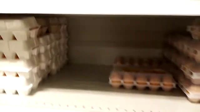 Куриные яйца в "Пятёрочке" теперь стали дороже чем страусиные? смотреть онлайн