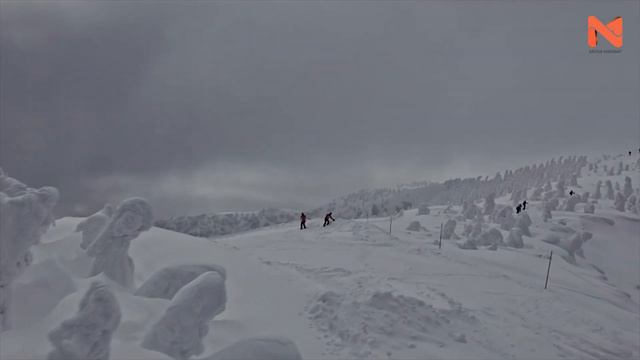 QISH FASLI HAQIDA QIZIQARLI FAKTLAR. BU YILGI QISH HAQIDA FIKRINGIZNI IZOHLARDA YOZIB QOLDIRING!