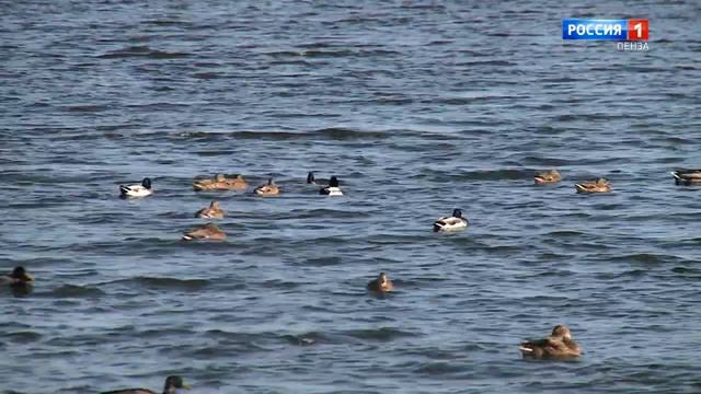 Город Спутник — город счастливых. Выпуск №13 смотреть онлайн