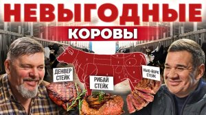 Коровы съедят весь бюджет! Мясное скотоводство. Говяжий стейк. Разведение коров. Андрей Даниленко