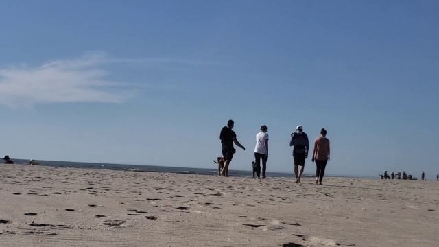 Как встречают РОЖДЕСТВО в США. Зря ли пришлось переехать смотреть онлайн