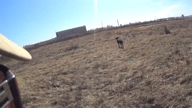 поиск потяжка стойка подводка смотреть онлайн