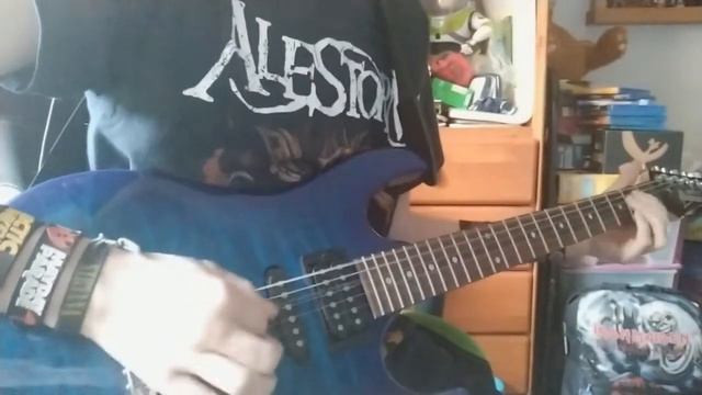 Alestorm - Drink | Electric Guitar Cover by SolarblobGD смотреть онлайн
