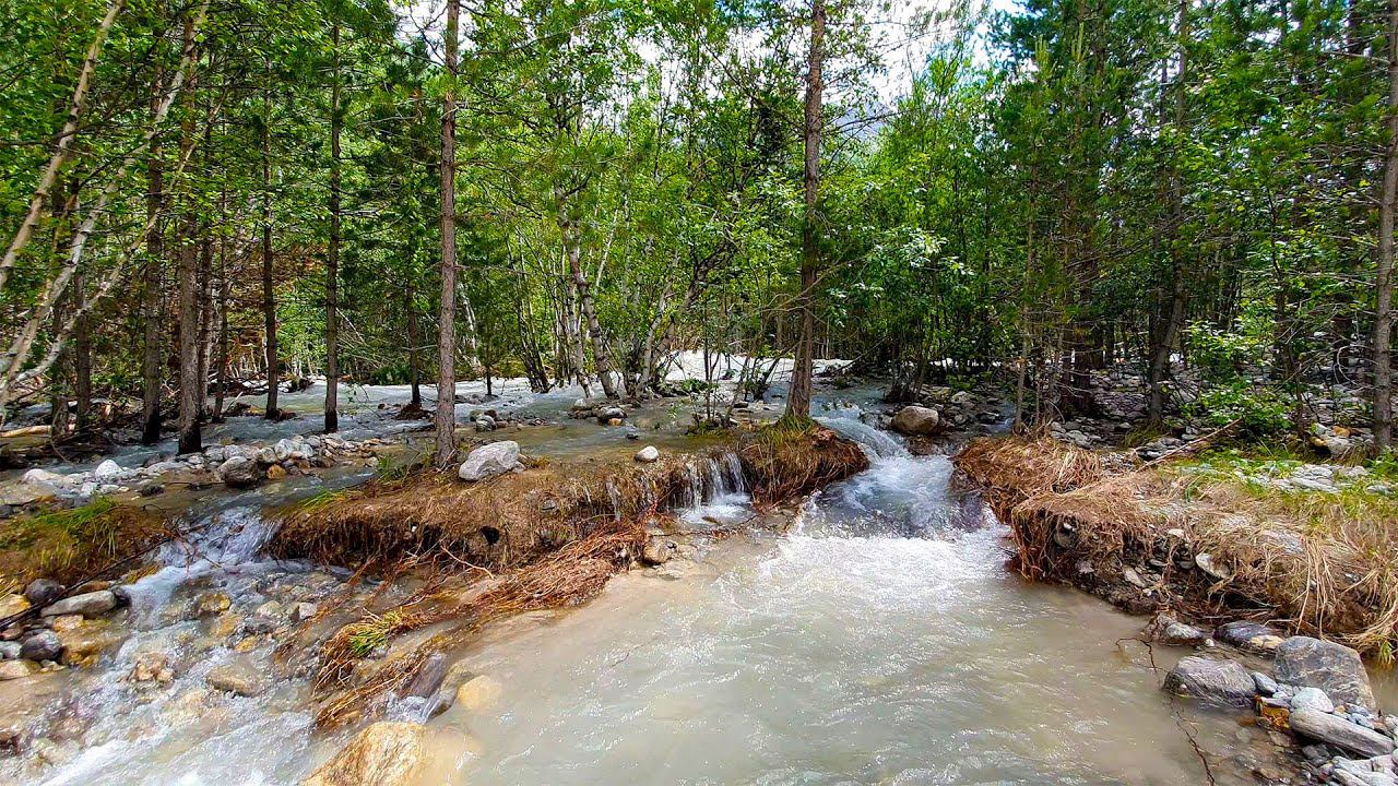 Powerful river flow rustles in the mountain forest смотреть онлайн