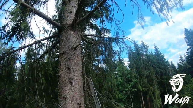 Удаление ели от первого лица смотреть онлайн