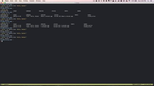 Working with Docker Containers смотреть онлайн