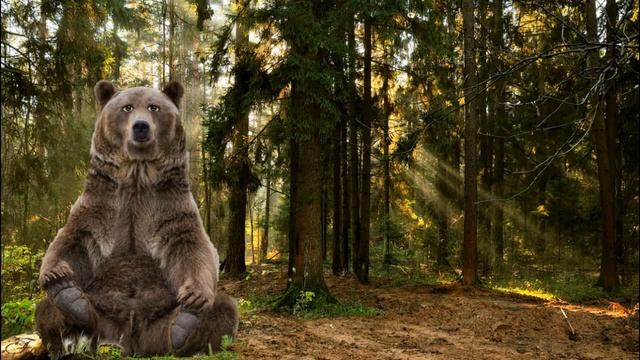 Пословицы и Поговорки О Силе Духа про Трудности и их Преодоления смотреть онлайн