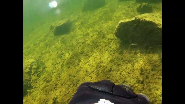 Лунный пейзаж дна озера. Часть 2 / Lunar landscape of the lake bottom. Part 2 смотреть онлайн